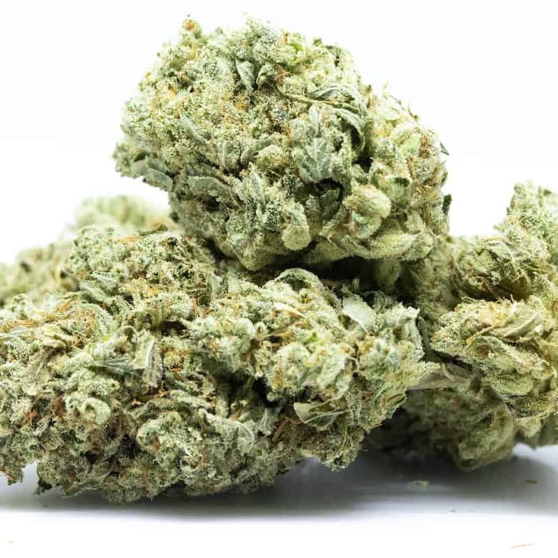 Jelly Breath Cannabis Flower at So High Coffee Shop in Surat Thani