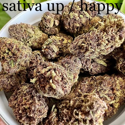 WEED BONG Klongwong Songkhla , 大麻, 雑草, Onkruid, Mauvaise herbe, Сорняк product image