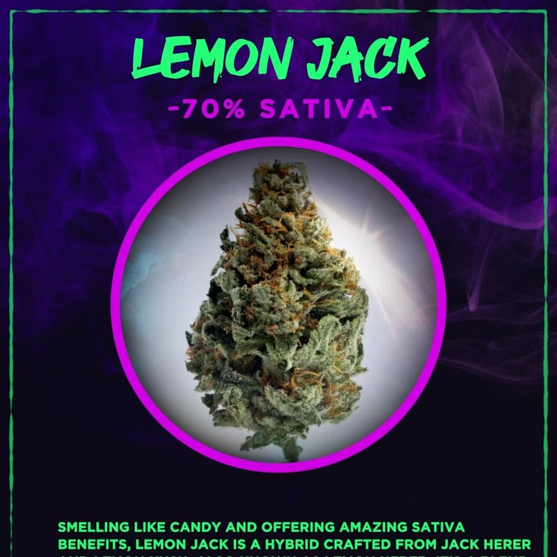 Lemon Jack Cannabis Flower at HIGHLAND PATONG CANNABIS LOUNGE in Phuket