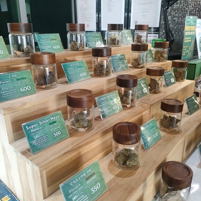 The Spot Cannabis Dispensary | ร้านกัญชาเชียงใหม่ Cannabis shop Chiang Mai product image
