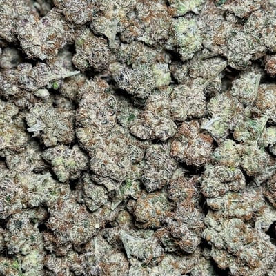 Green Cloud Coffee Shop and Dispensary - Secret Club