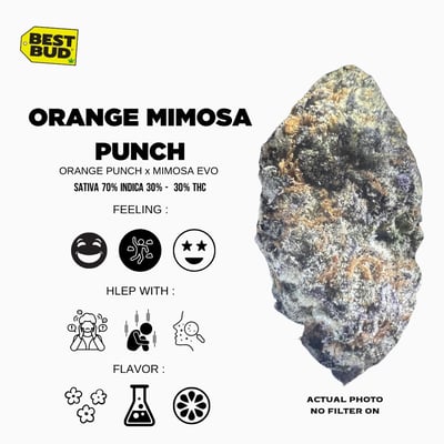 Orange Mimosa Punch
