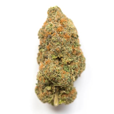 Budzilla product image