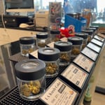 RockWeed - Cannabis Dispensary Pattaya