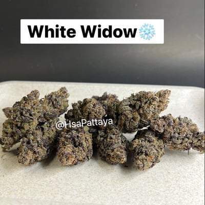 White widows