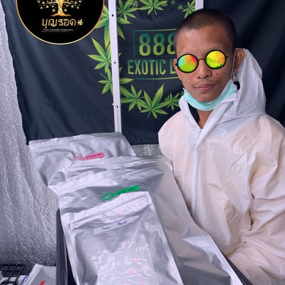 Ganja บุญรอด Buriram farm cannabis product image