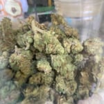 T-rex cannabis shop