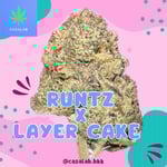Runtz X Layer Cake