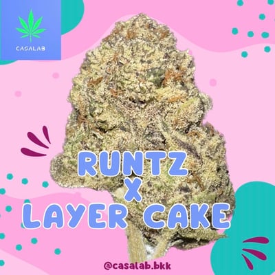 Runtz X Layer Cake