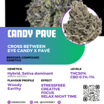Candy Pave 
