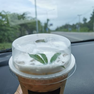 คาเฟ่กัญชา Cannabis Cafe’ product image