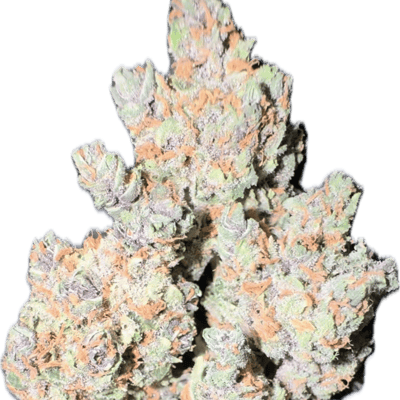 Durban poison 