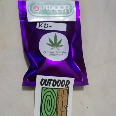 ใบดี ยีทุกวัน ยันทุกที่ Outdoor Cannabis Uthaithani product image