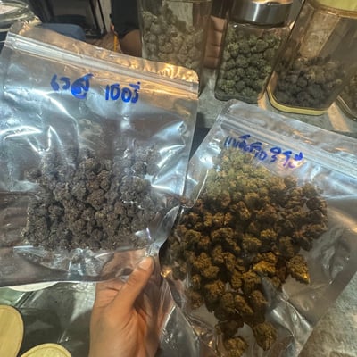 กัญชาบุญมี BUNMEE Cannabis shop product image