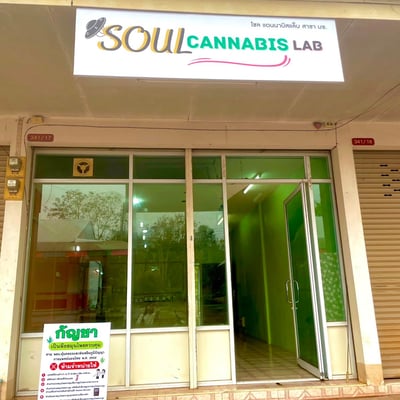 Soul cannabis lab สาขามข.