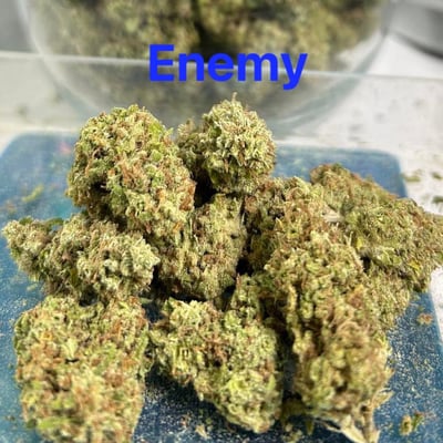 Enemy