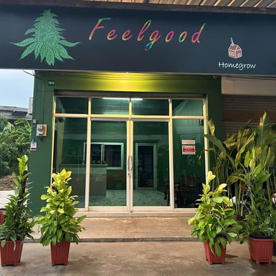 ร้านกัญชา feelgood