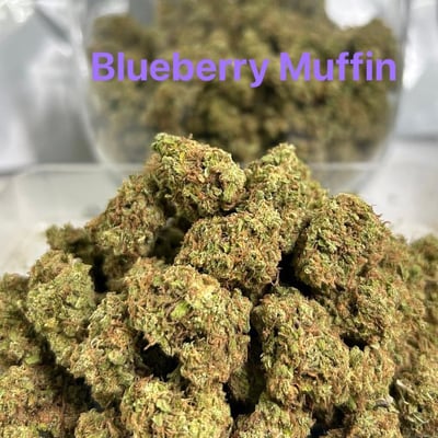 Blueberry Muffin