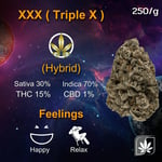 XXX ( Triple X )