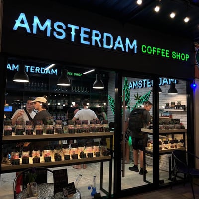 Amsterdam Coffee Shop | Weed Store | Cannabis Dispensary product image