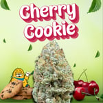 Cherry Cookie