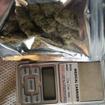HighWaves Cannabis