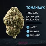 Tomahawk (A-tier)