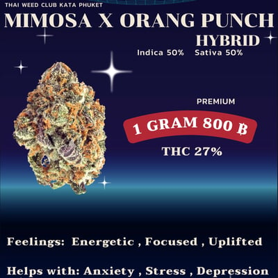 Mimosaxorange punch