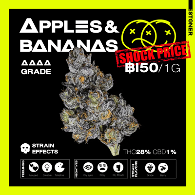 THE STONER product image