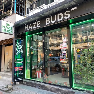 Haze Buds Cannabis Chiang Mai Sunday Walking Street