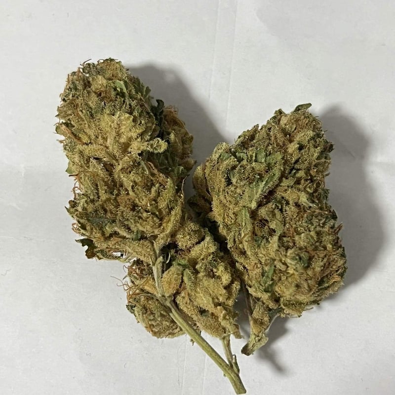 Girl scout cookie x Wedding cake Cannabis Flower at 49herb cannabis