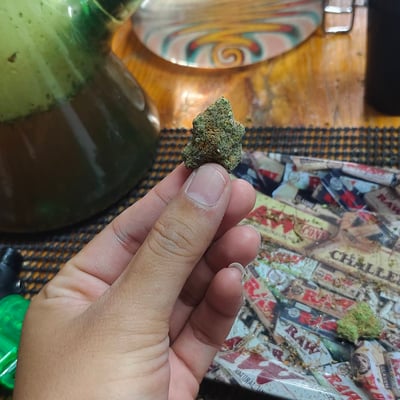 GanJa PS (ร้านกัญชาหน้า ผส.) product image