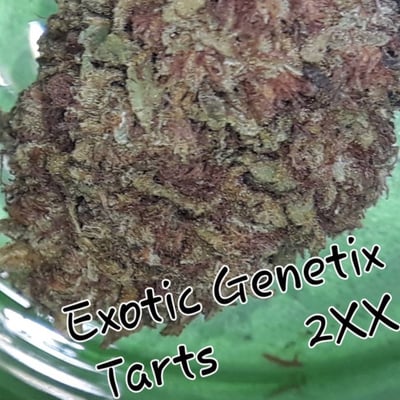 Exotic genetic tarts
