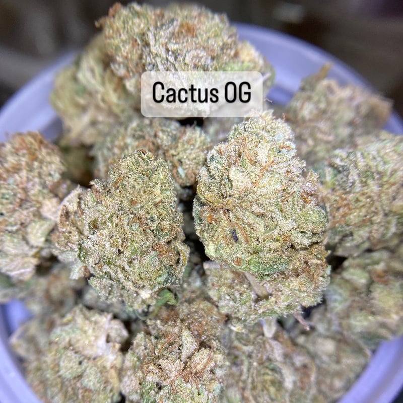 Cactus OG Cannabis Flower at BongstationMsu  in Maha Sarakham  - Weed in Thailand