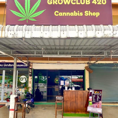 Growclub420 ร้านกัญชา (Cannabis shop) product image