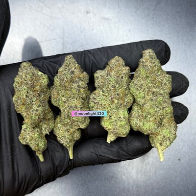 Moonlight420 product image