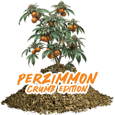 Perzimmon ( Crumb )