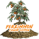 Perzimmon ( Crumb )