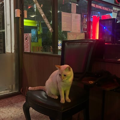 Best Bud | Weed shop | Cannabis dispensary | Weed delivery | Cannabis delivery product image