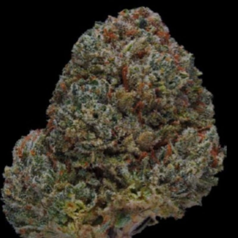 その他 NARK PAGAN KILLER Kuang_canban Yahoo!オークション - NPK