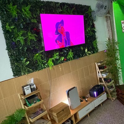 Jungle Kings product image