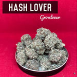 Hash Lover