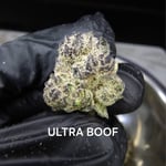 Ultra Boof