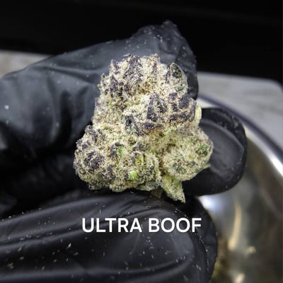 Ultra Boof