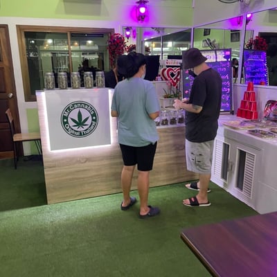 กัญชานครนายก - Mr.Cannabis Hemp Store Thailand product image