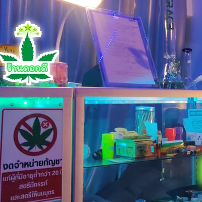 ร้านกัญชา ดอกดี Goodbuds cannabis shop