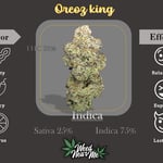 Oreoz king (  Inhouse genetics )