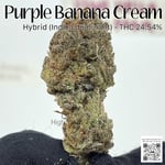 Purple Banana Cream