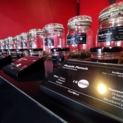 Venus cannabis กัญชาอุบล product image