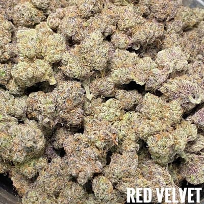 Red Velvet – Indica – THC – 26% (Per Gram)